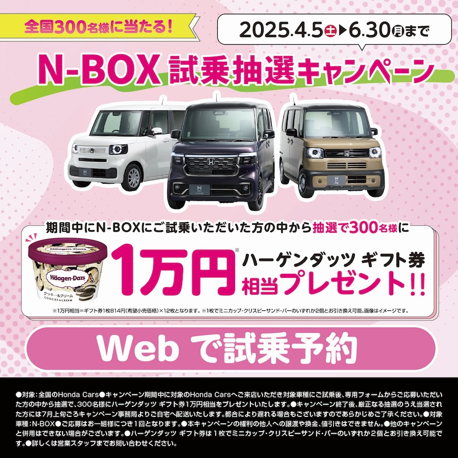 N-BOX撊ILy[